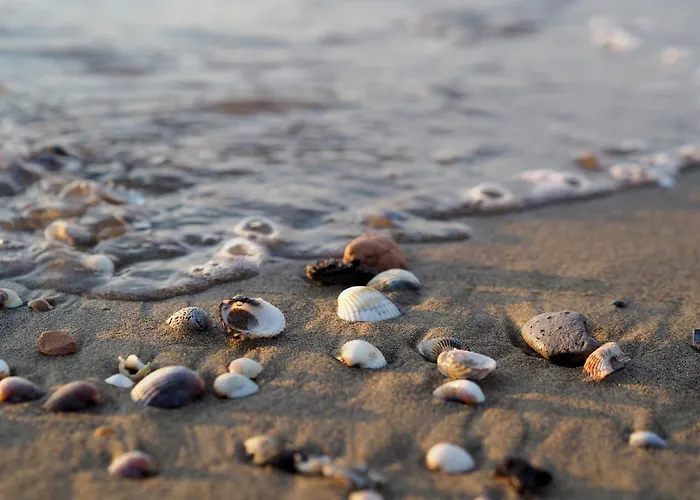 Apartman In Our Beachside Flat *