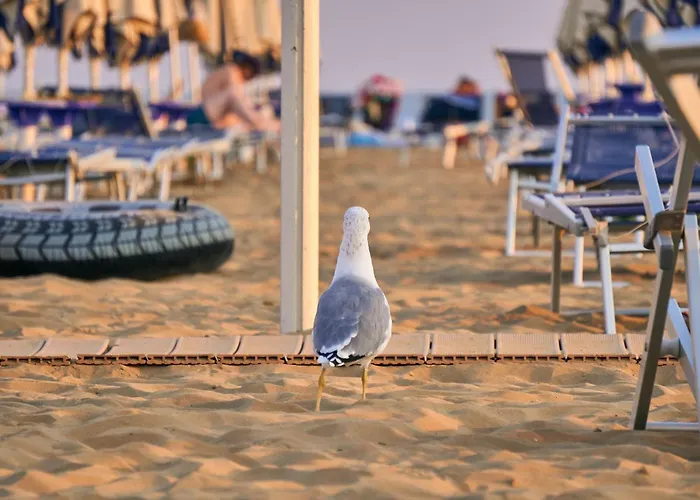 In Our Beachside Flat Apartman *